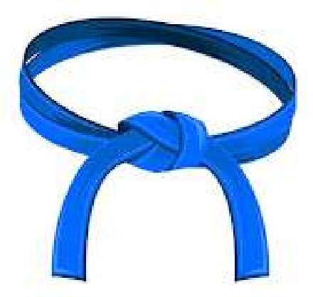 blue belt