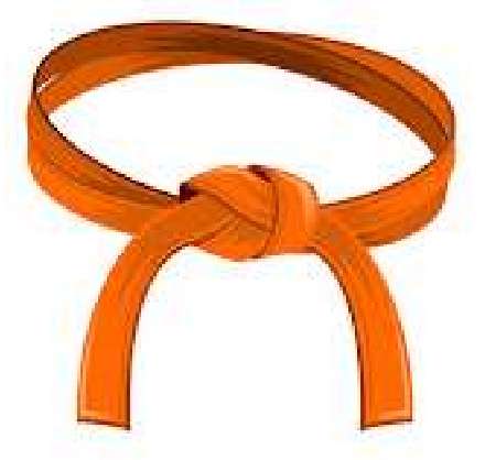 orange belt