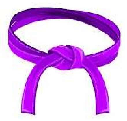 purple belt