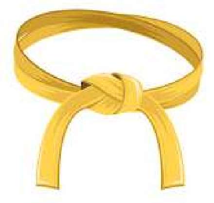 yellow belt