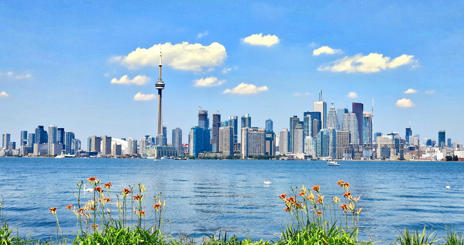 city seen from the top